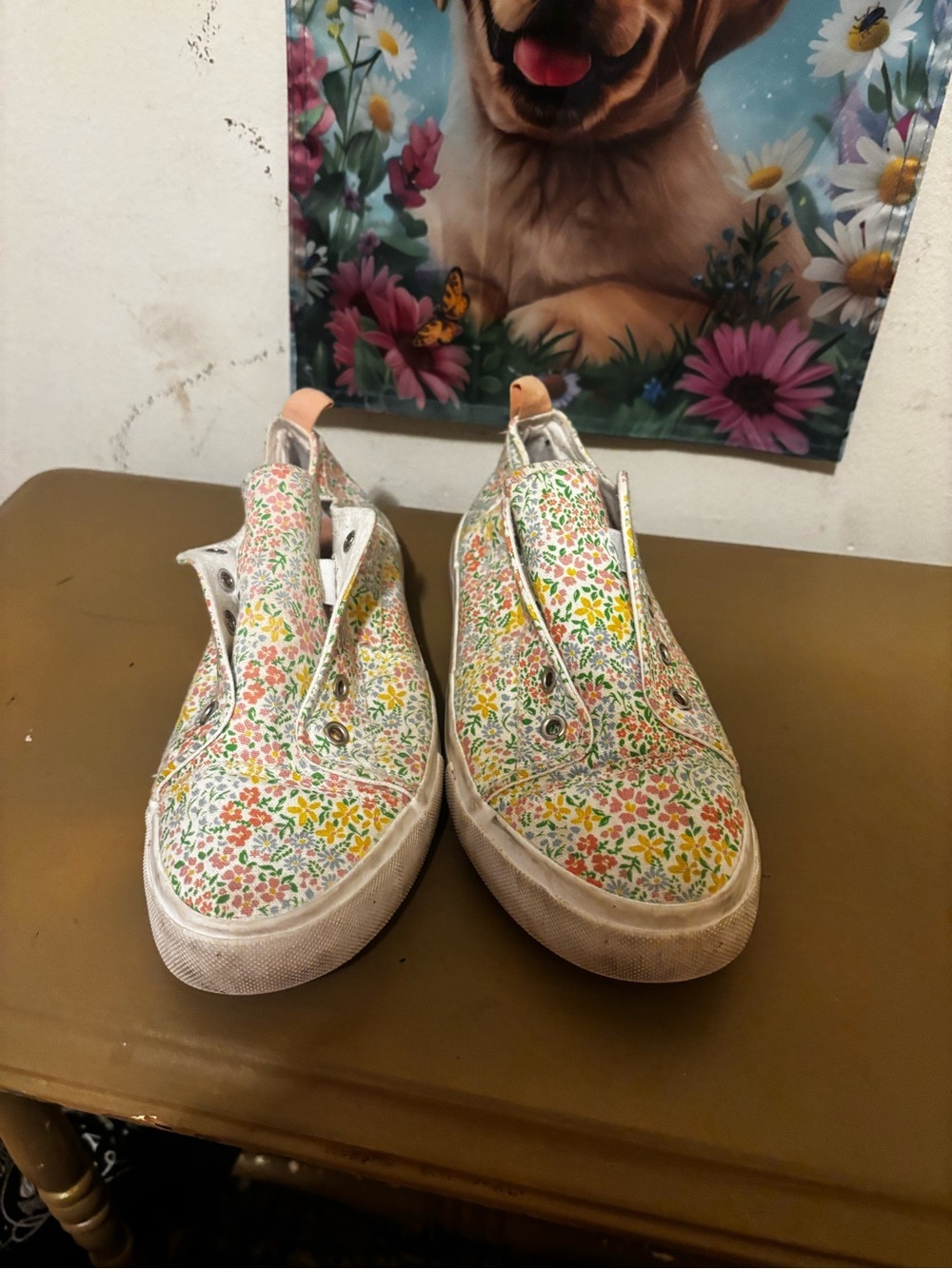 Serra White Slip-On Sneakers with Yellow, Pink & Green Floral Print